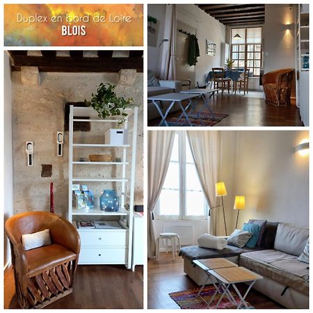 Apartmán Duplex 60 M2 Bord De Loire Blois Exteriér fotografie