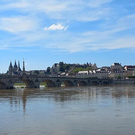 Apartmán Duplex 60 M2 Bord De Loire Blois Exteriér fotografie