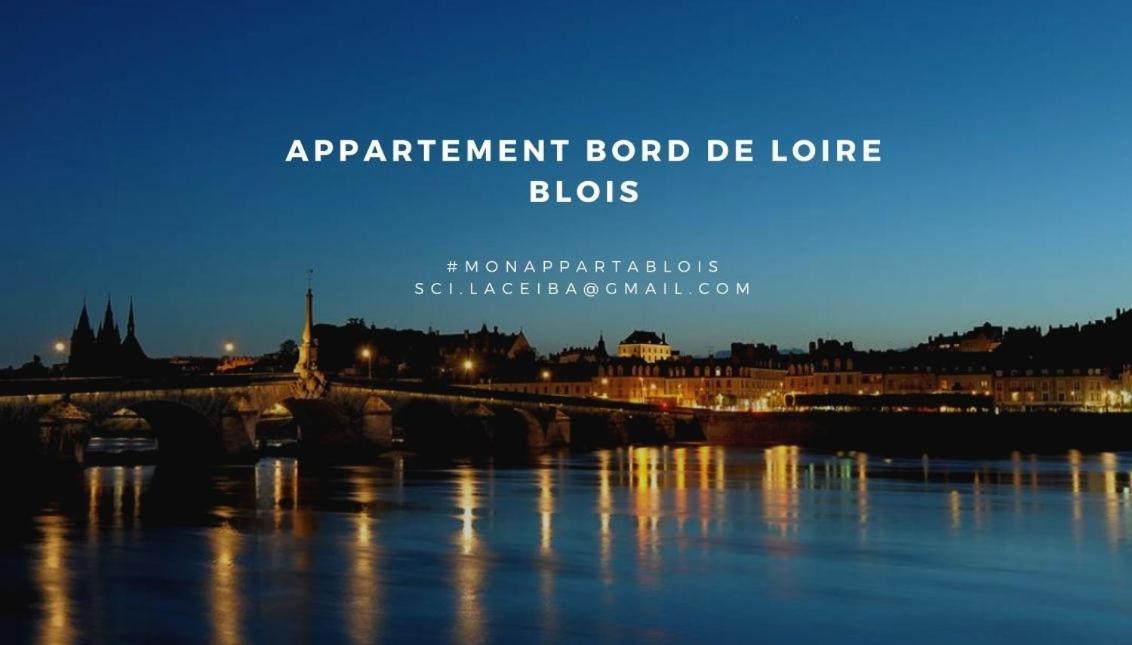 Apartmán Duplex 60 M2 Bord De Loire Blois Exteriér fotografie