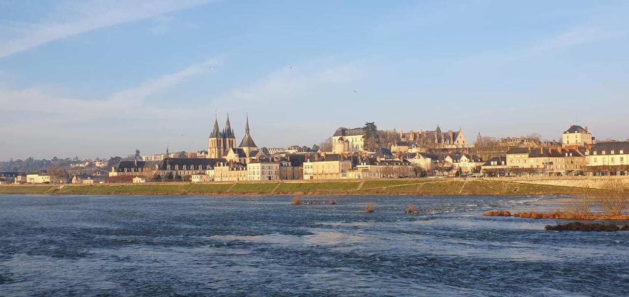 Apartmán Duplex 60 M2 Bord De Loire Blois Exteriér fotografie